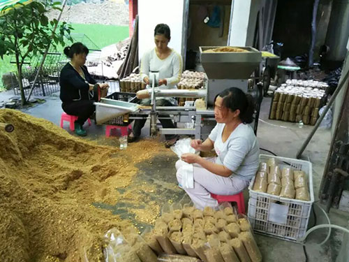 湖南創(chuàng)蕈農(nóng)業(yè)科技有限公司,懷化食用菌種植銷售,懷化羊肚菌種植銷售,懷化赤松茸種植銷售